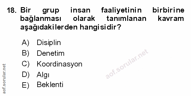 Soru 18