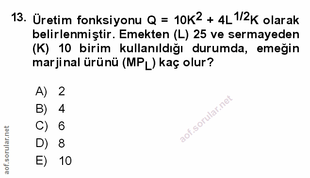 Soru 13
