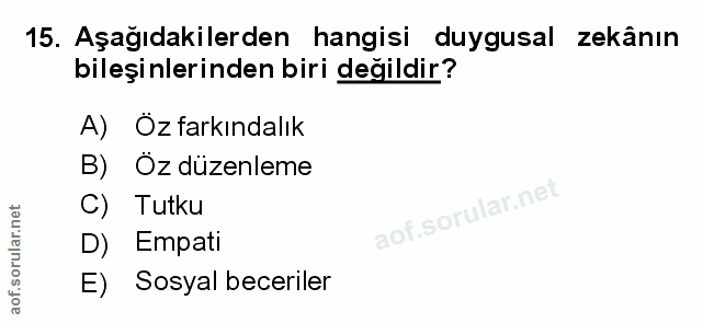Soru 15