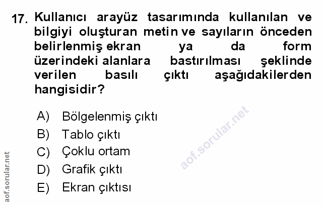 Soru 17
