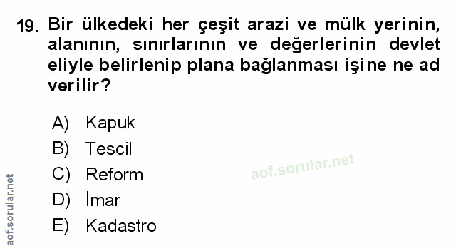 Soru 19