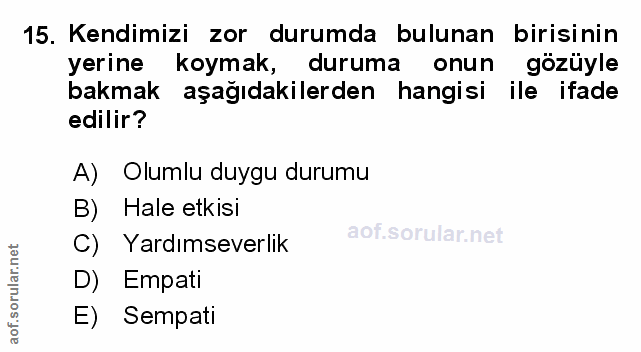 Soru 15