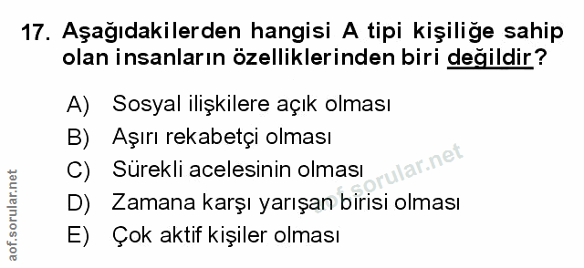 Soru 17