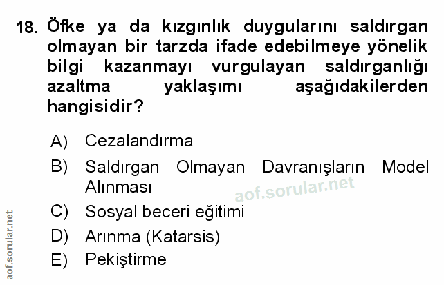 Soru 18