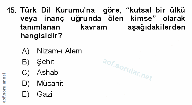 Soru 15