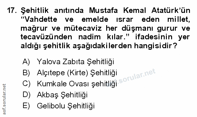 Soru 17