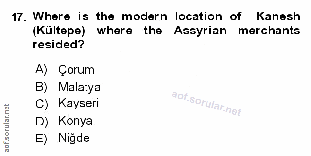 Soru 17