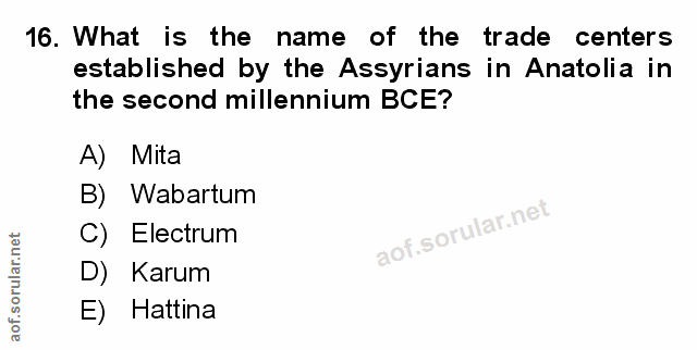 Soru 16