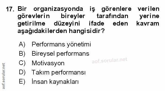 Soru 17