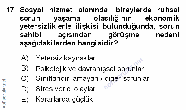 Soru 17