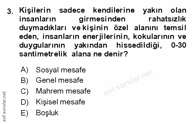 Soru 3