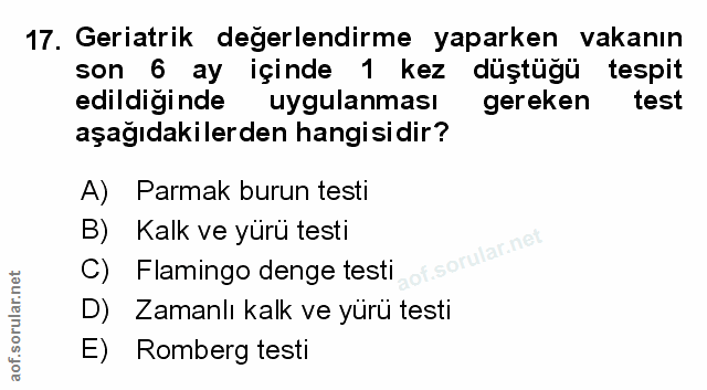 Soru 17