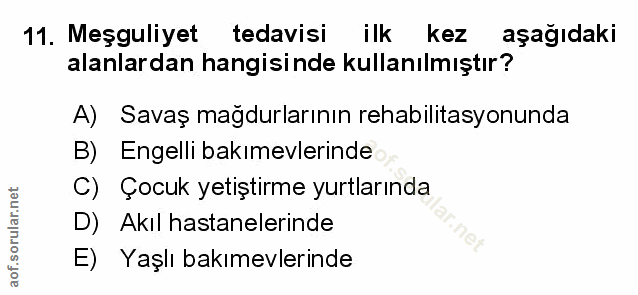 Soru 11