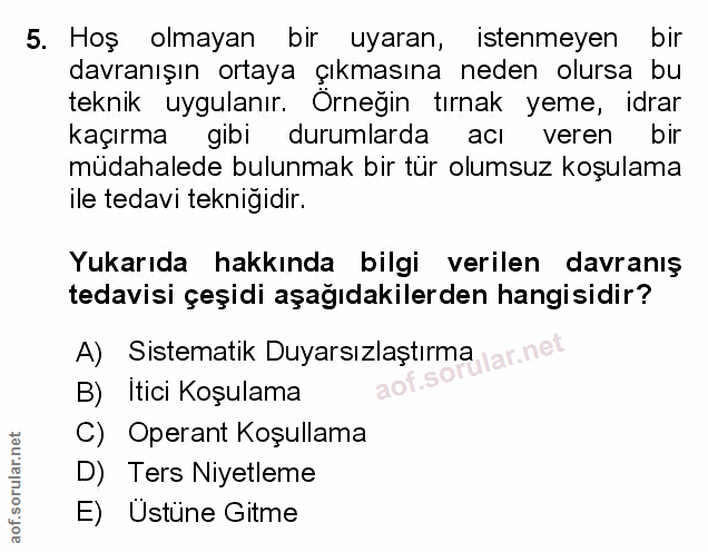 Soru 5