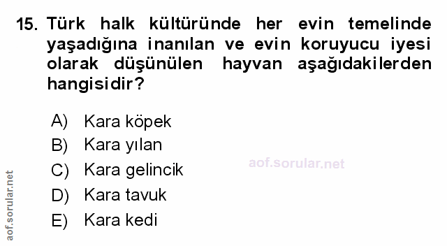 Soru 15