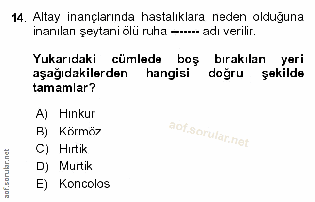 Soru 14