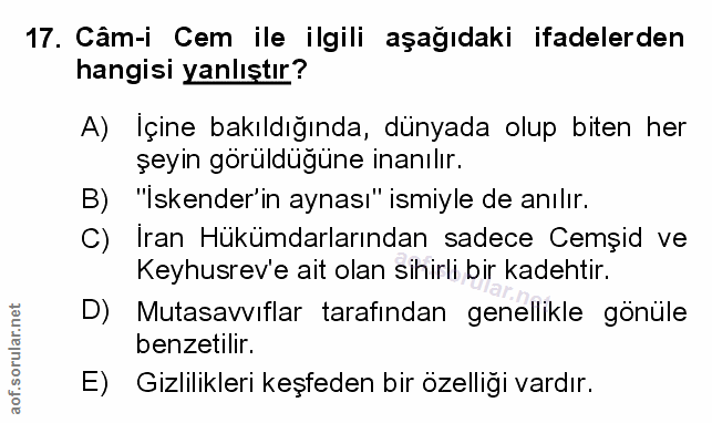Soru 17