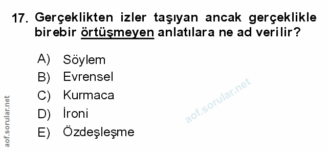 Soru 17