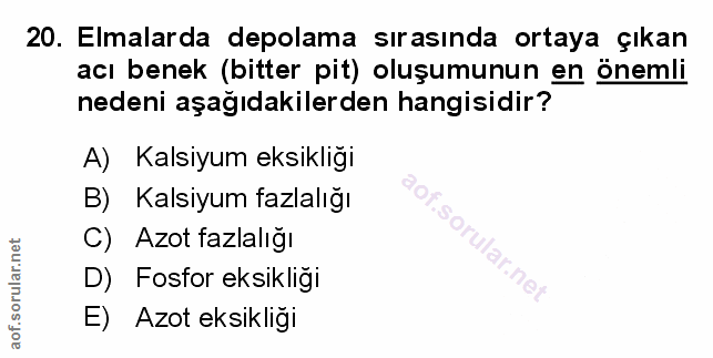 Soru 20