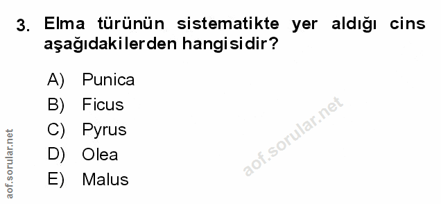 Soru 3