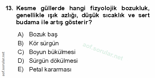 Soru 13