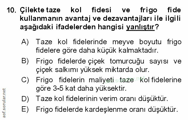 Soru 10