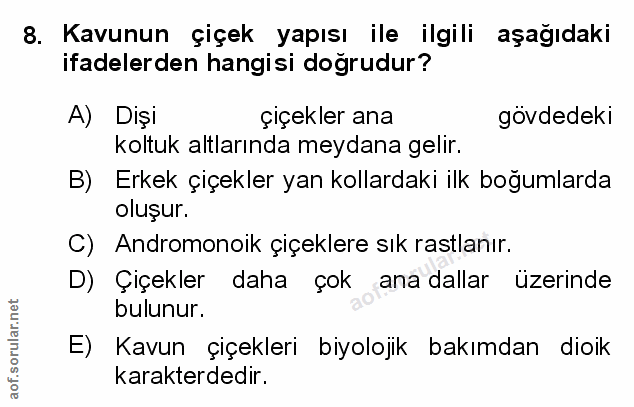 Soru 8