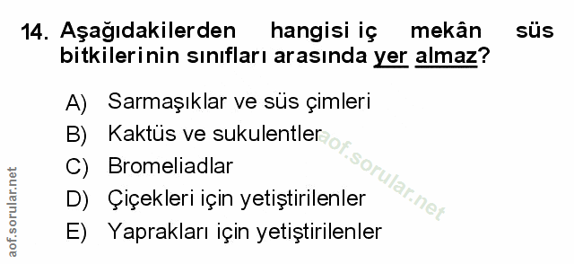 Soru 14
