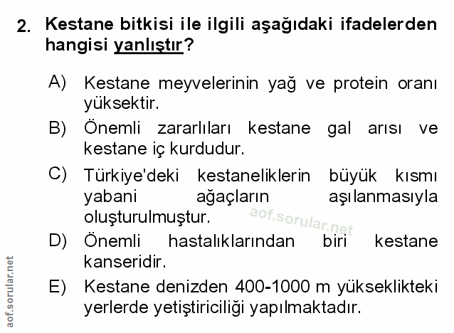 Soru 2