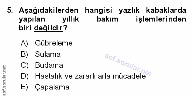 Soru 5