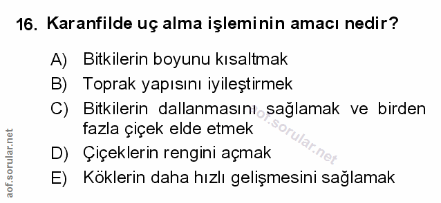 Soru 16
