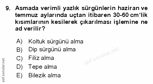 Soru 9