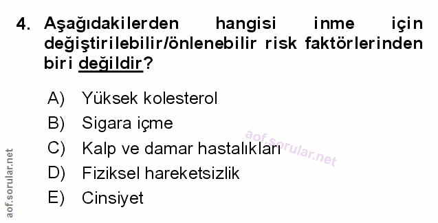 Soru 4