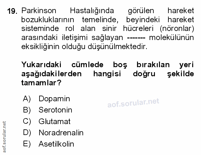 Soru 19