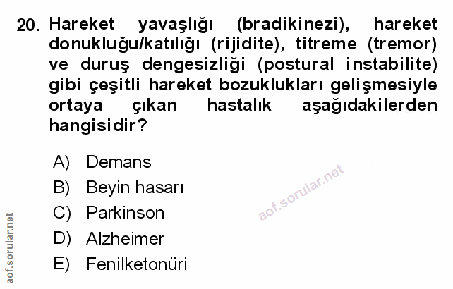 Soru 20