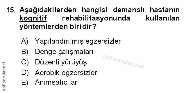 Soru 15