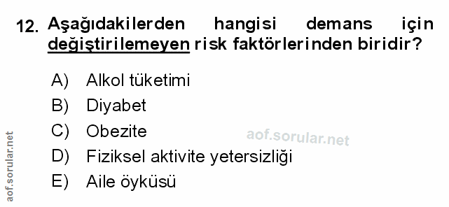 Soru 12