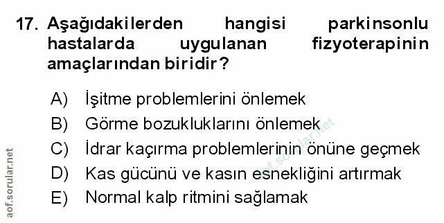 Soru 17