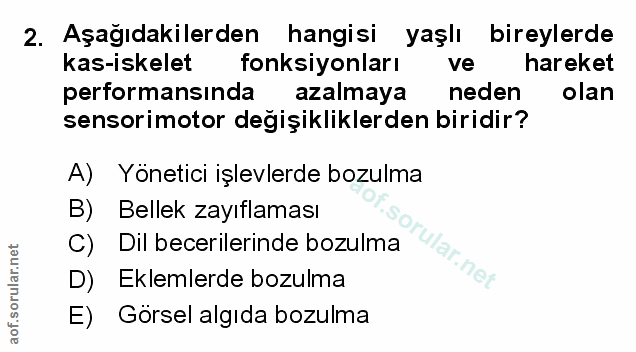 Soru 2