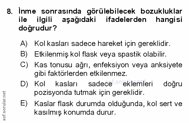 Soru 8