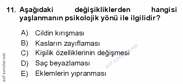Soru 11