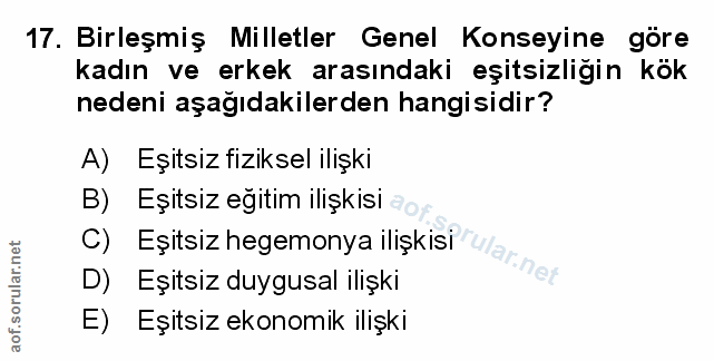 Soru 17