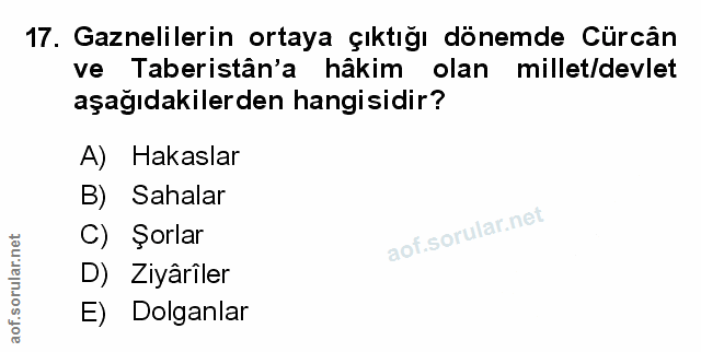 Soru 17