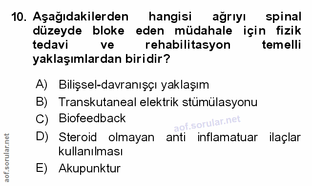 Soru 10