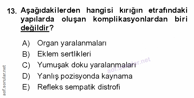 Soru 13