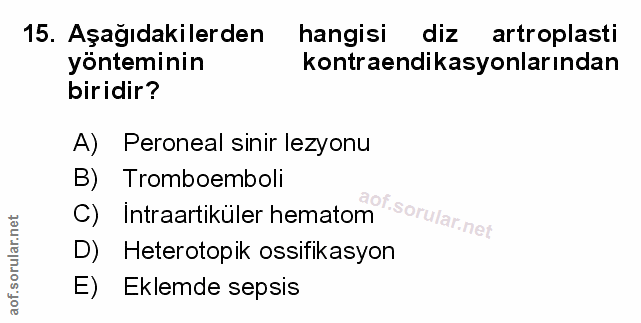Soru 15