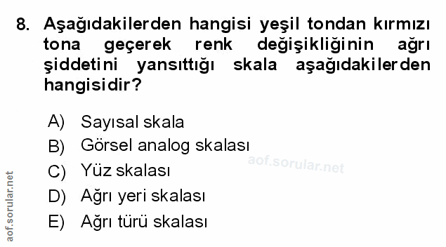 Soru 8