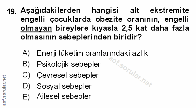 Soru 19