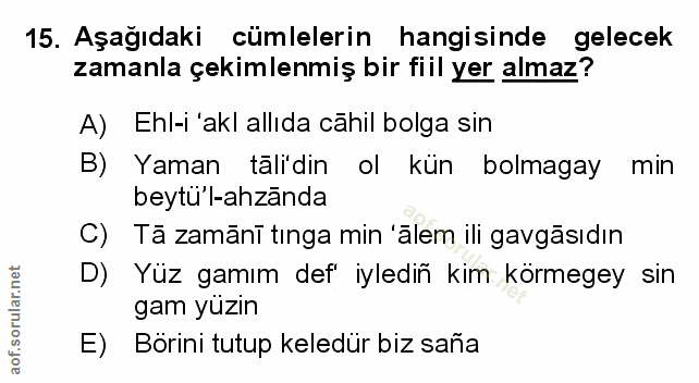 Soru 15