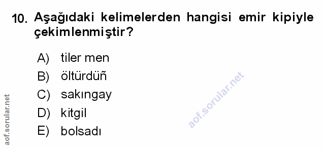 Soru 10
